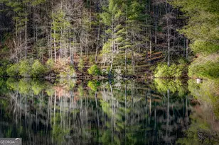 120 Cohutta Rnch Rd, Blue Ridge, GA 30513 - Photo 7