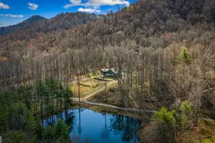 120 Cohutta Rnch Rd, Blue Ridge, GA 30513 - Photo 21