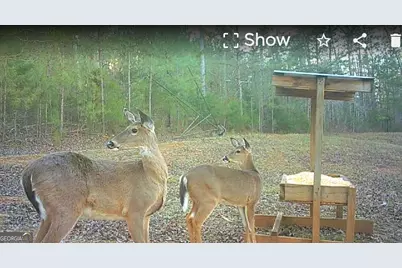 340 Noles Road, Franklin, GA 30217 - Photo 31