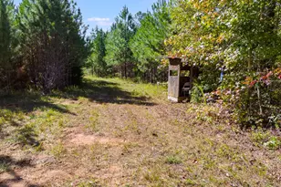 340 Noles Rd, Franklin, GA 30217 - Photo 27