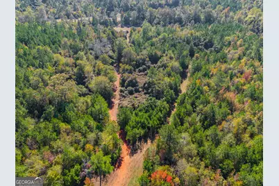 340 Noles Road, Franklin, GA 30217 - Photo 23