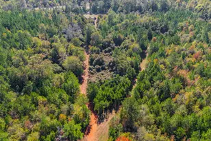 340 Noles Rd, Franklin, GA 30217 - Photo 23