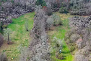 340 Noles Rd, Franklin, GA 30217 - Photo 21