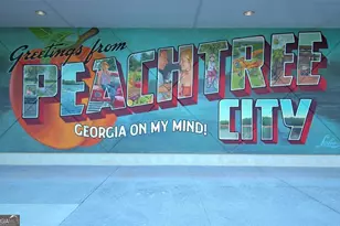 126 Santolina Park, Peachtree City, GA 30269 - Photo 41