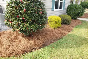 2118 Deer Run Cir, Tifton, GA 31793 - Photo 43