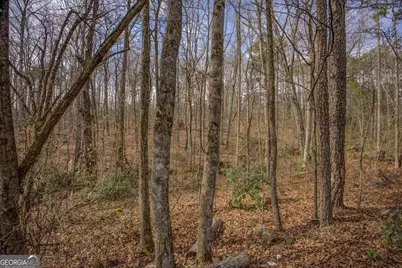 2816 Klondike Road SW, Conyers, GA 30094 - Photo 57