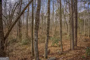 2816 Klondike Rd SW, Conyers, GA 30094 - Photo 57