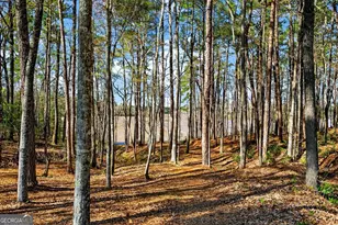 130 Sunny Point Cir, Lagrange, GA 30240 - Photo 35