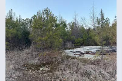 0 Branch Hebron Road, Greenville, GA 30222 - Photo 9