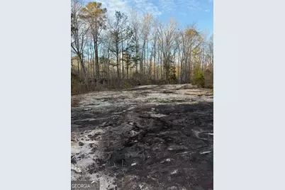 0 Branch Hebron Road, Greenville, GA 30222 - Photo 3