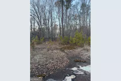 0 Branch Hebron Road, Greenville, GA 30222 - Photo 7