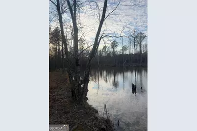 0 Branch Hebron Road, Greenville, GA 30222 - Photo 5