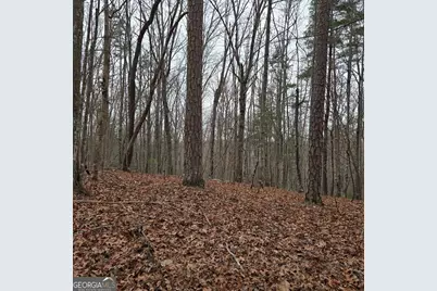 8.5 Blue Berry Ridge, Morganton, GA 30560 - Photo 31