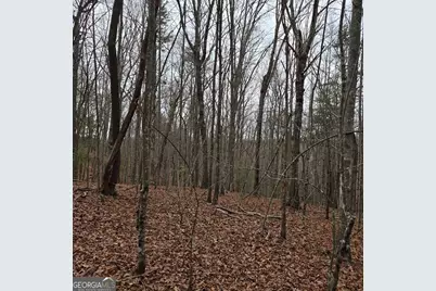 8.5 Blue Berry Ridge, Morganton, GA 30560 - Photo 29