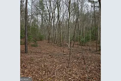 8.5 Blue Berry Ridge, Morganton, GA 30560 - Photo 3