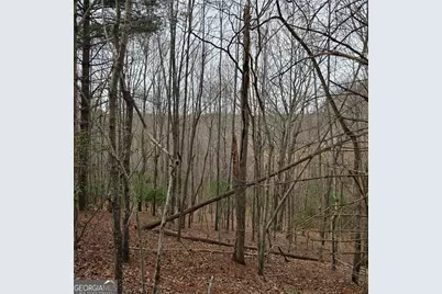 8.5 Blue Berry Ridge, Morganton, GA 30560 - Photo 17