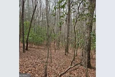 8.5 Blue Berry Ridge, Morganton, GA 30560 - Photo 9