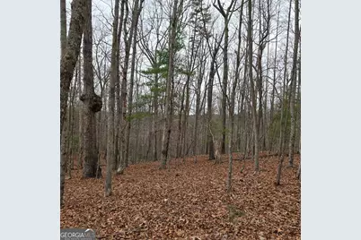 8.5 Blue Berry Ridge, Morganton, GA 30560 - Photo 25