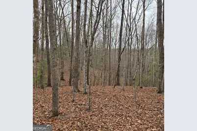 8.5 Blue Berry Ridge, Morganton, GA 30560 - Photo 23