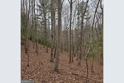 8.5 Blue Berry Ridge, Morganton, GA 30560 - Photo 11