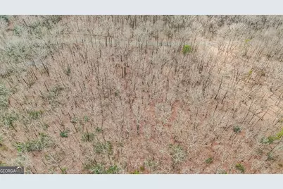 21 Andes Ridge, Jasper, GA 30143 - Photo 5