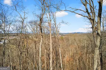 225 Eagles Nest Lane, Blue Ridge, GA 30513 - Photo 11