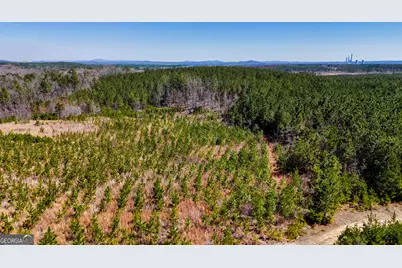 Tract 1 John Kay Road, Taylorsville, GA 30178 - Photo 3