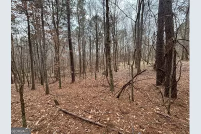 0 Oconee Rd Lot 3, Buckhead, GA 30625 - Photo 5