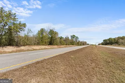 0 Savannah River Parkway, Sylvania, GA 30467 - Photo 15