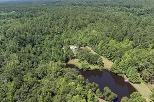 3127 Buttermilk Rd, Sylvania, GA 30467 - Photo 31