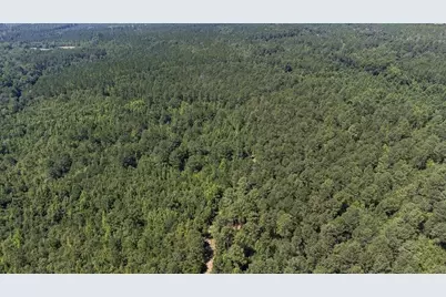 3127 Buttermilk Road, Sylvania, GA 30467 - Photo 25