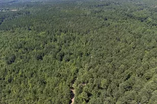 3127 Buttermilk Rd, Sylvania, GA 30467 - Photo 25