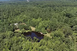 3127 Buttermilk Rd, Sylvania, GA 30467 - Photo 17