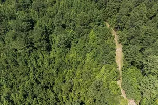 3127 Buttermilk Rd, Sylvania, GA 30467 - Photo 19