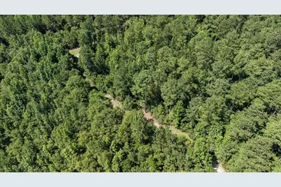 3127 Buttermilk Road, Sylvania, GA 30467 - Photo 21