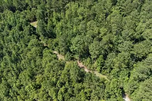 3127 Buttermilk Rd, Sylvania, GA 30467 - Photo 21