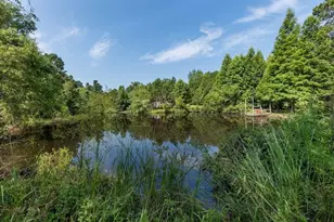 3127 Buttermilk Rd, Sylvania, GA 30467 - Photo 3