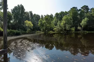 3127 Buttermilk Rd, Sylvania, GA 30467 - Photo 5