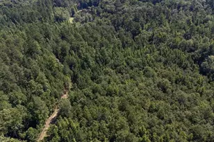 3127 Buttermilk Rd, Sylvania, GA 30467 - Photo 27