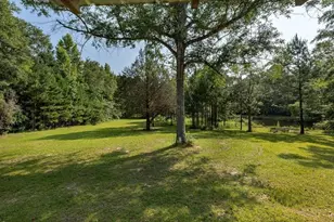 3127 Buttermilk Rd, Sylvania, GA 30467 - Photo 15