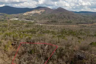 465 Briar Creek Dr, Ellijay, GA 30540 - Photo 69