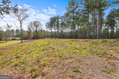 3127 Buttermilk Road, Sylvania, GA 30467 - Photo 3