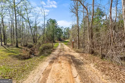 3127 Buttermilk Road, Sylvania, GA 30467 - Photo 9