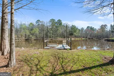 3127 Buttermilk Road, Sylvania, GA 30467 - Photo 7