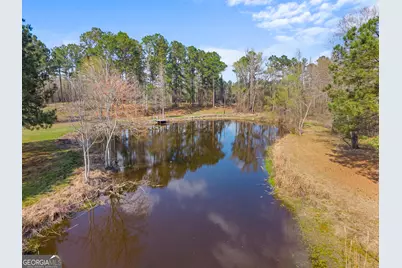 3127 Buttermilk Road, Sylvania, GA 30467 - Photo 19