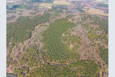 3127 Buttermilk Road, Sylvania, GA 30467 - Photo 13