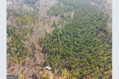 3127 Buttermilk Road, Sylvania, GA 30467 - Photo 15