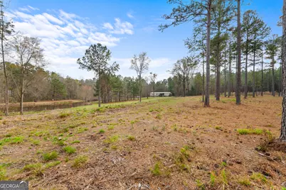 3127 Buttermilk Road, Sylvania, GA 30467 - Photo 5