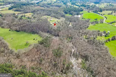 722 Charlie Morris Road, Colbert, GA 30628 - Photo 77