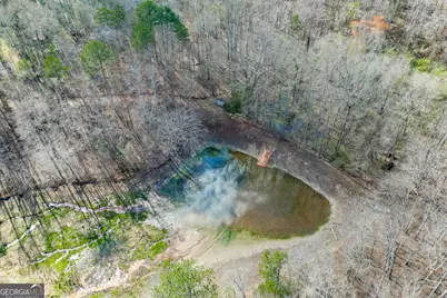 722 Charlie Morris Road, Colbert, GA 30628 - Photo 69
